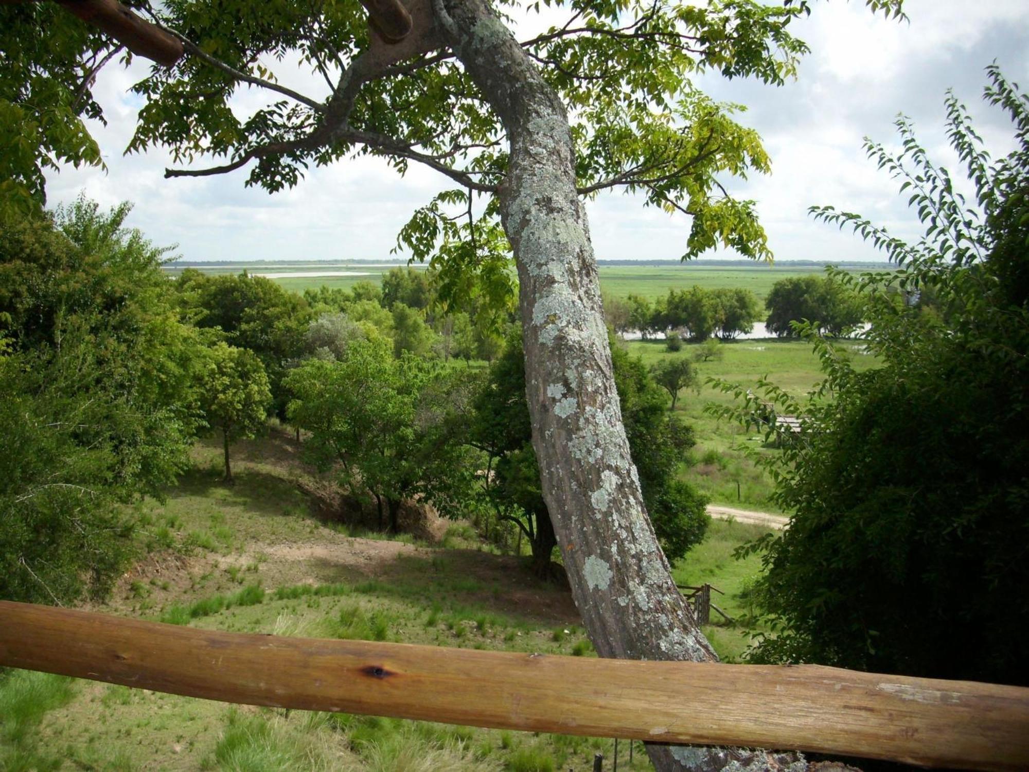 Cabanas De La Ribera San Pedro  Exteriör bild